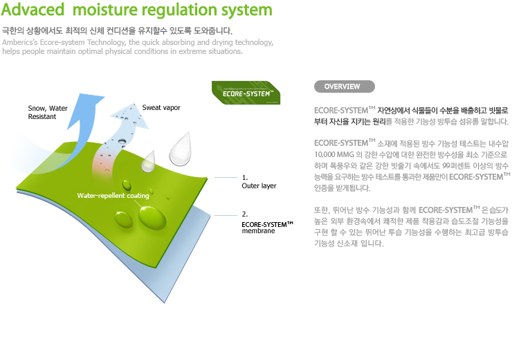 Ecore-system